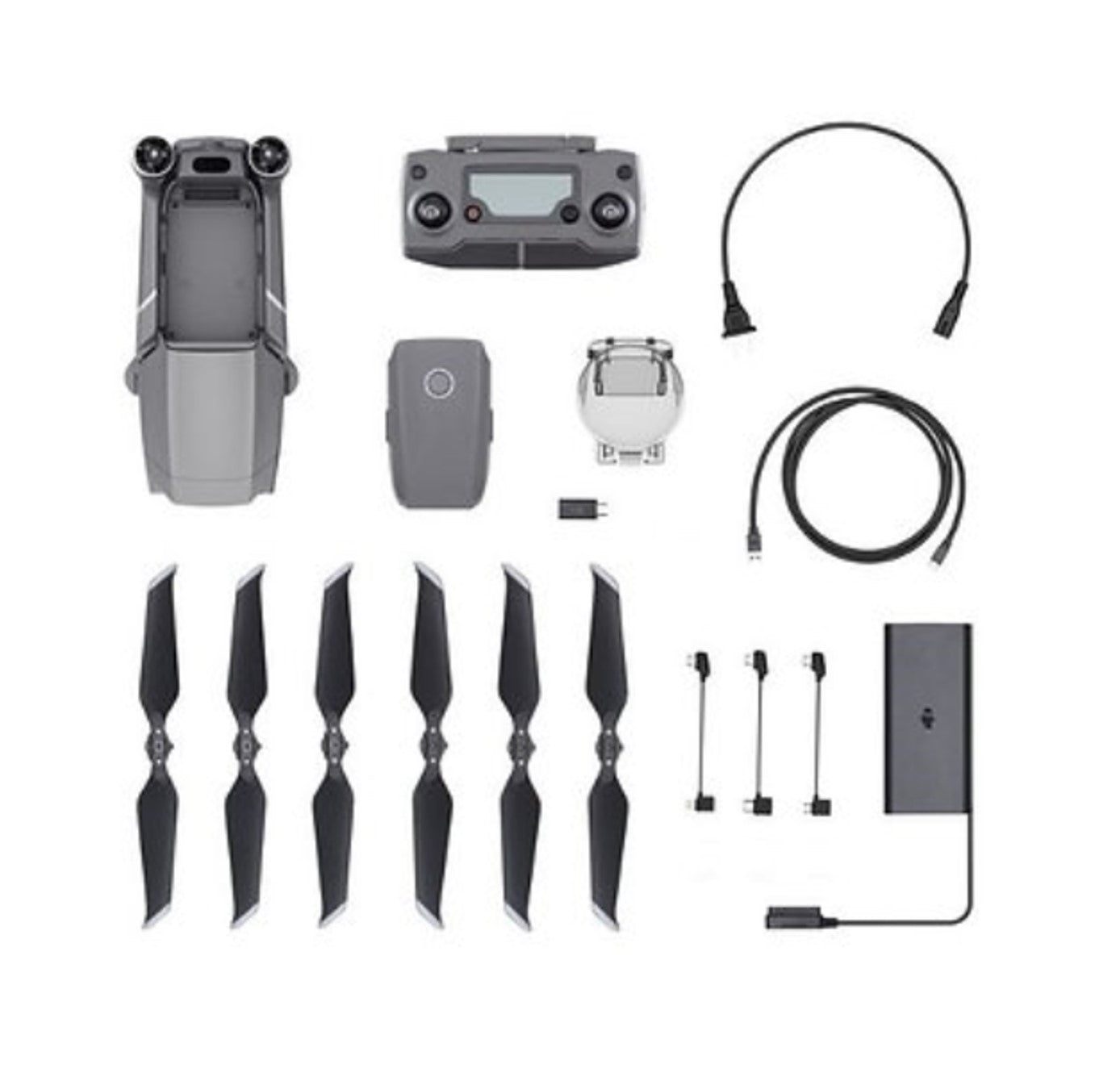 【月額プラン】Mavic 2 Pro 基本セット (バッテリー計5本付き)