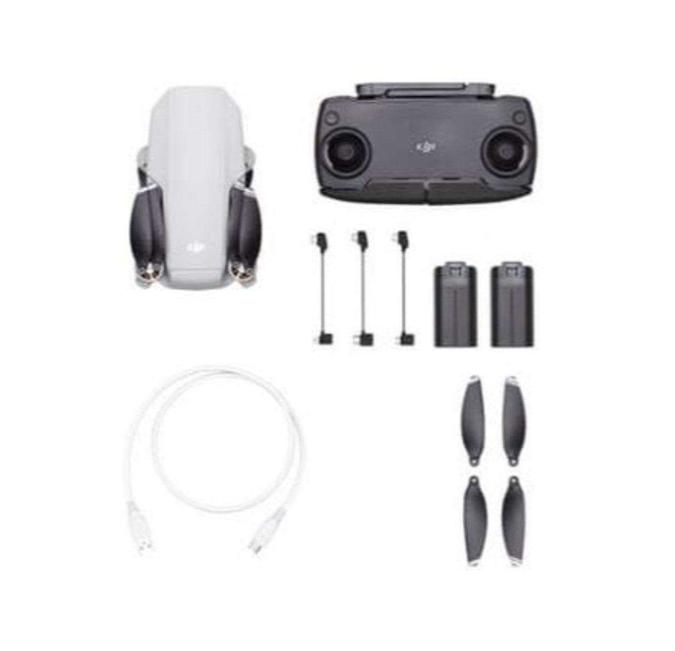 Mavic Mini 基本セット (予備バッテリー2本付き)お手軽ドローンレンタル